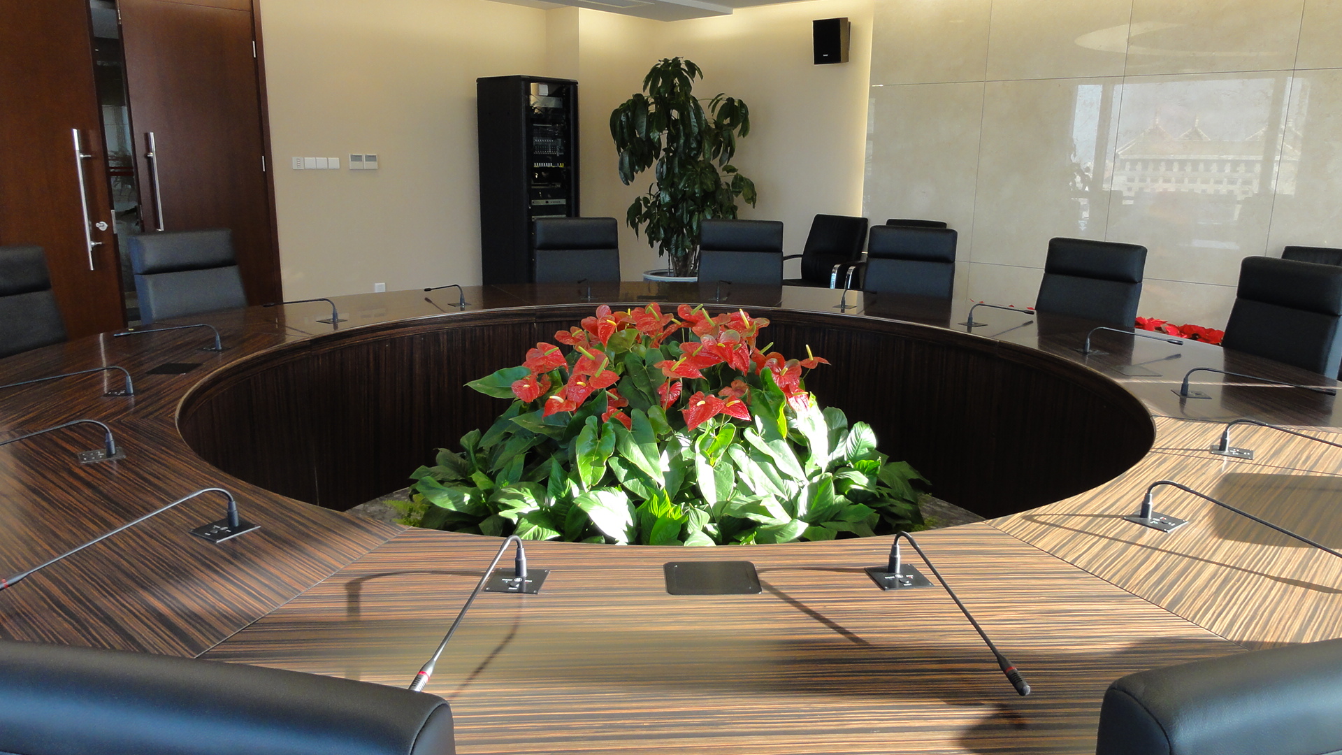 会议室适合摆放什么植物呢?——上海植物租赁,上海花卉租摆,清丽园艺